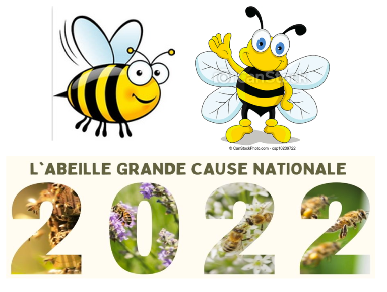 abeilles cause 2022